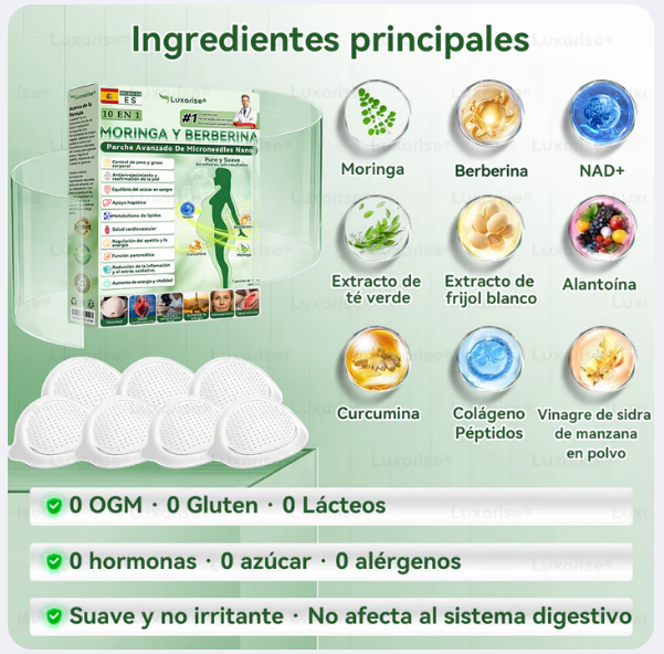 Patch Detox 10 en 1 con Moringa y Berberina Tecnología avanzada de microneedles nano | Resultados visibles en 7 días