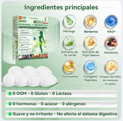 Patch Detox 10 en 1 con Moringa y Berberina Tecnología avanzada de microneedles nano | Resultados visibles en 7 días