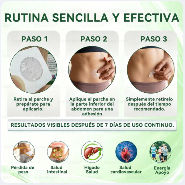 Patch Detox 10 en 1 con Moringa y Berberina Tecnología avanzada de microneedles nano | Resultados visibles en 7 días