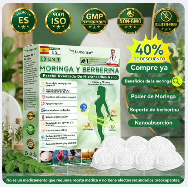 Patch Detox 10 en 1 con Moringa y Berberina Tecnología avanzada de microneedles nano | Resultados visibles en 7 días